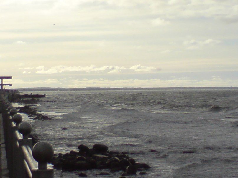 Светлана Шитикова-Гуськова | Калининград