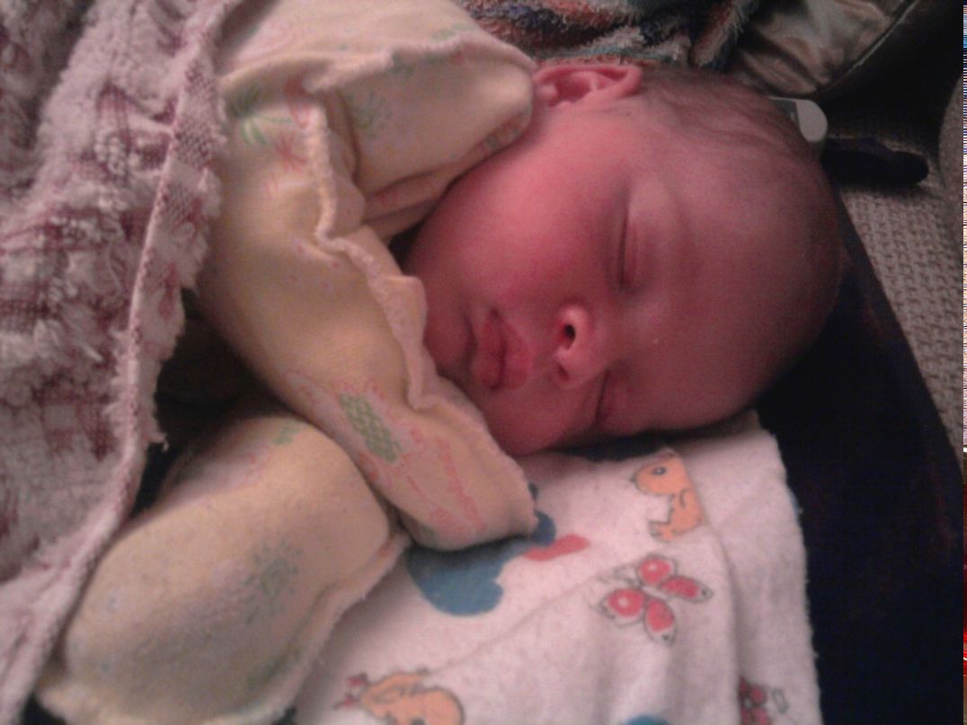 Єлизавета Жукова | Шевченково (Великодимерская община)