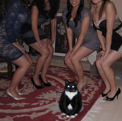 Анатолий Да-Ну-Так | 