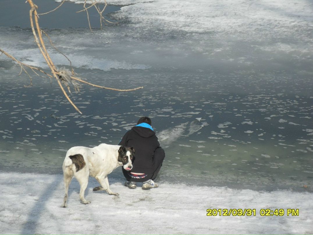 Юлия Бердник | Новокузнецк