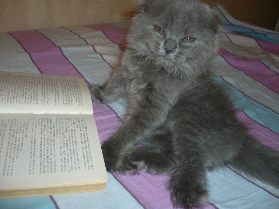 Лилия Акишина | Новосибирск