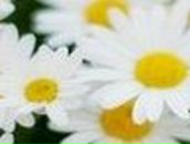 Гузель Низамова | Набережные Челны