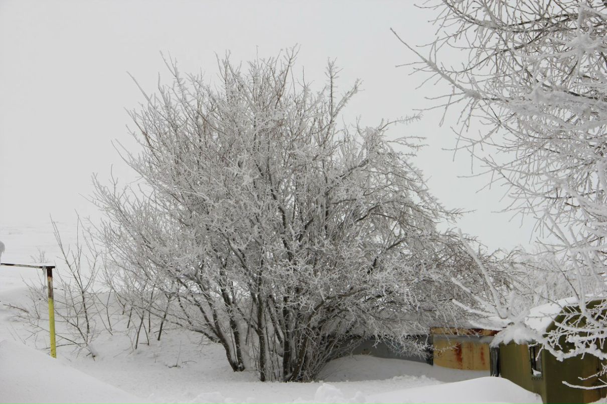 Алексей Пренко | Николаевка