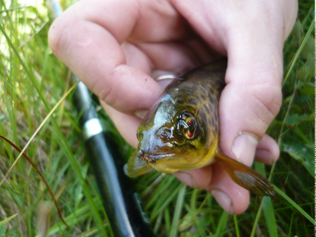 Илья Жукевич | Ковдор