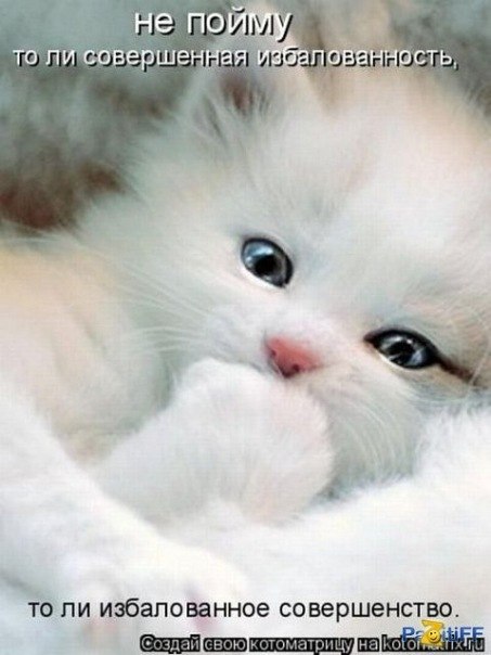 Юлия Куртуа | Уфа