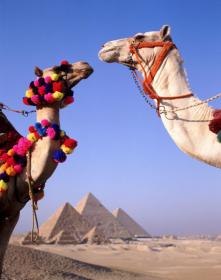 Олеся Амбарова | Нижний Новгород