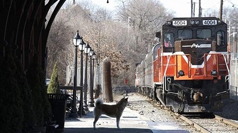 Максим Бурнашев ♦♦Carlitos♦♦ | Бижбуляк