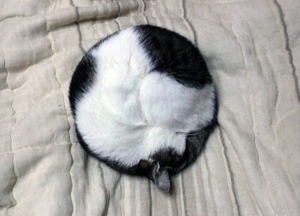 Татьяна Ганина | Ялта