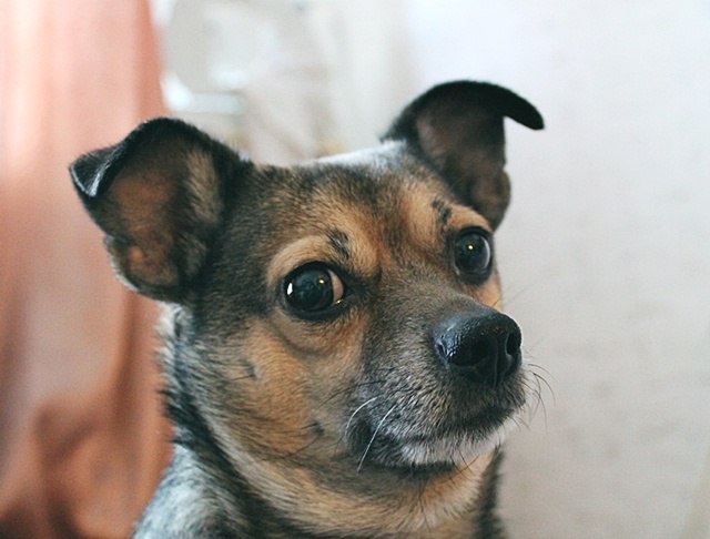 Ирина Фирсова | Dudley