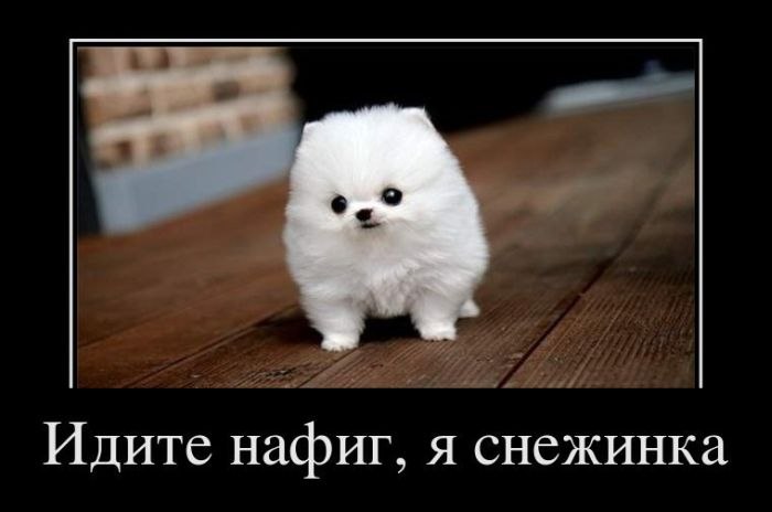 Дарья Трубийчук | Москва