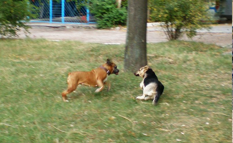 Олег Медведев | Феодосия