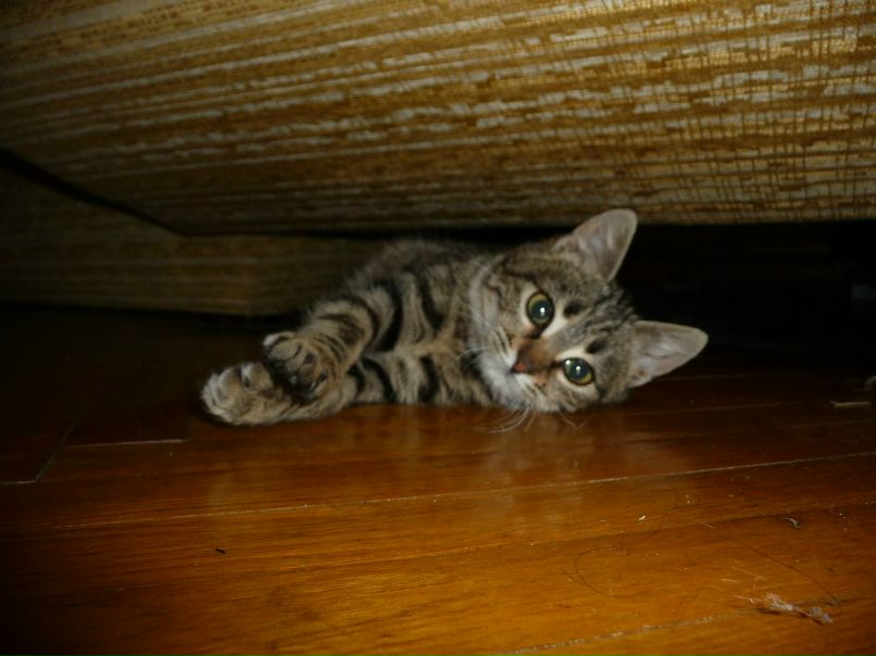 Руслана Богданова | Ростов-на-Дону