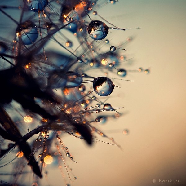 Кристина Хаджиди | Санкт-Петербург