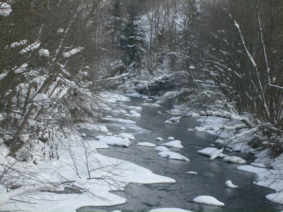 Станислав Сорочев | Одесса