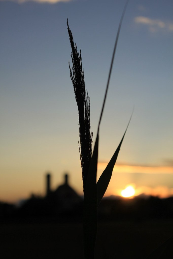 Iryna Kuzmenko | Straubing