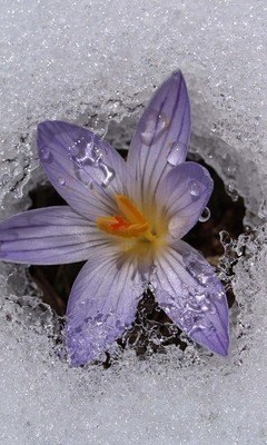 Лена Иванисова | Якутск