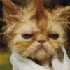 Аватар: Fffffff Hhhh