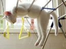 №14 Лена Мустяца 25.03.1983: профиль, фото, статус - ВКонтакте