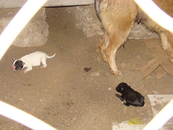 №47, Ангелина Морозова, Херсон №47, Ангелина Морозова, Херсон