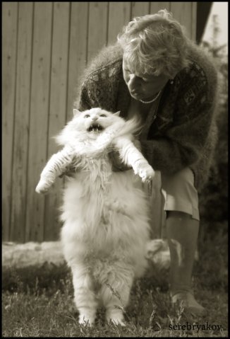 №110, Денис Брюшков №110, Денис Брюшков