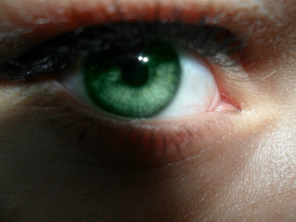 №106, Екатерина Суркова, 31 год, Дзержинский №106, Екатерина Суркова, 31 год, Дзержинский