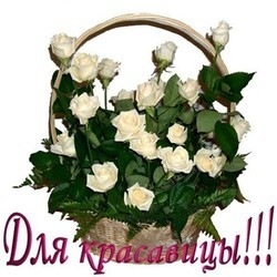 №16, Орест Vvvvv, Львов №16, Орест Vvvvv, Львов