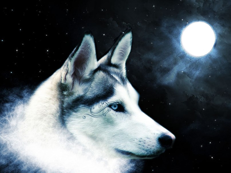 Дарья Никитина | Ярцево