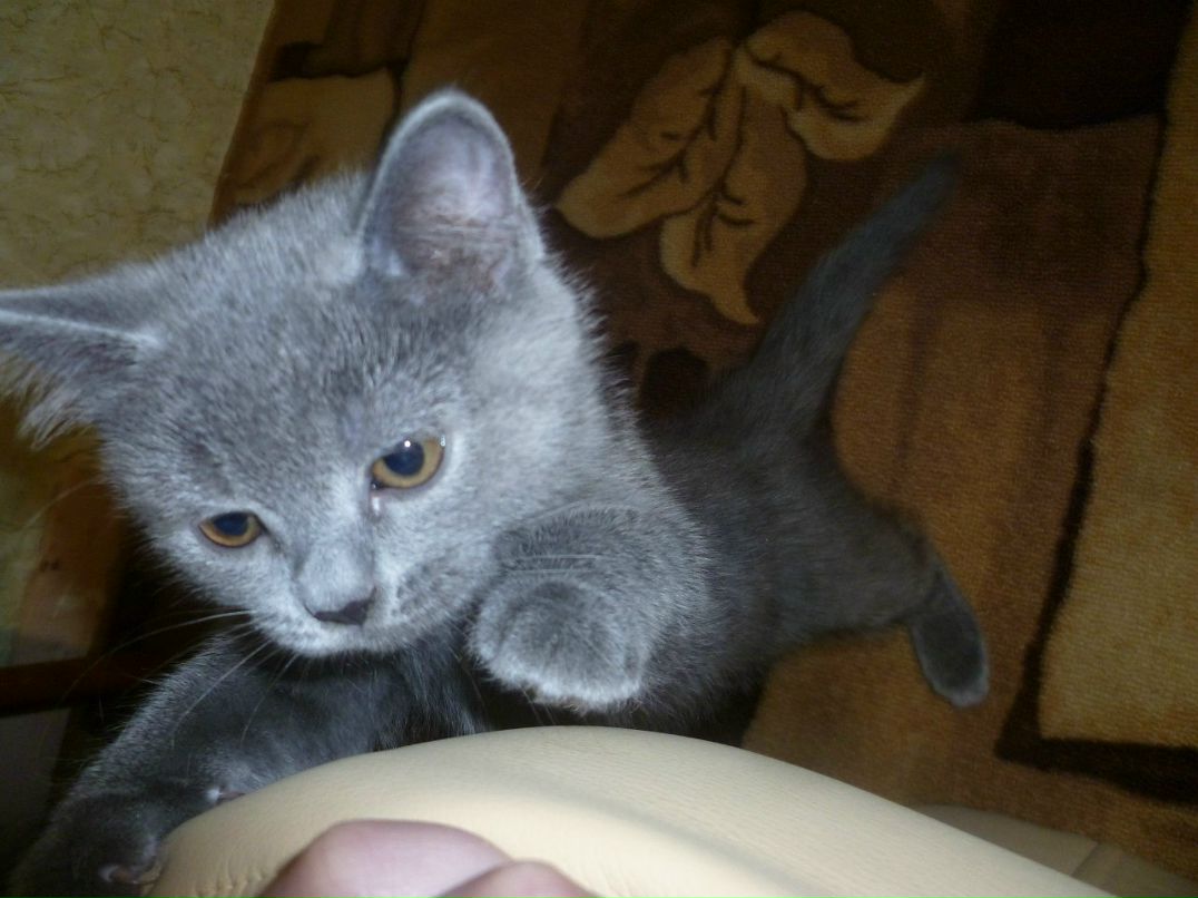 Валюша Мишина | Екатеринбург