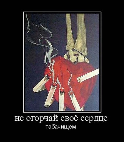 Андрей Андреевич | Кременчуг