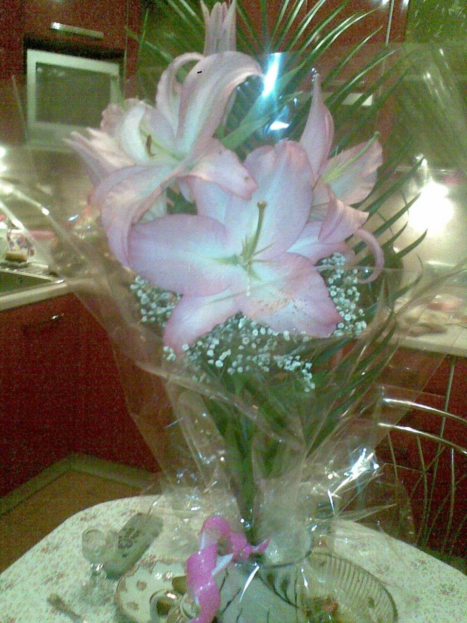 Виктория Некрасова | Санкт-Петербург