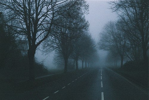 Лина Фонинская | Санкт-Петербург