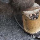 №54, Вітя Глушук, Луцк №54, Вітя Глушук, Луцк