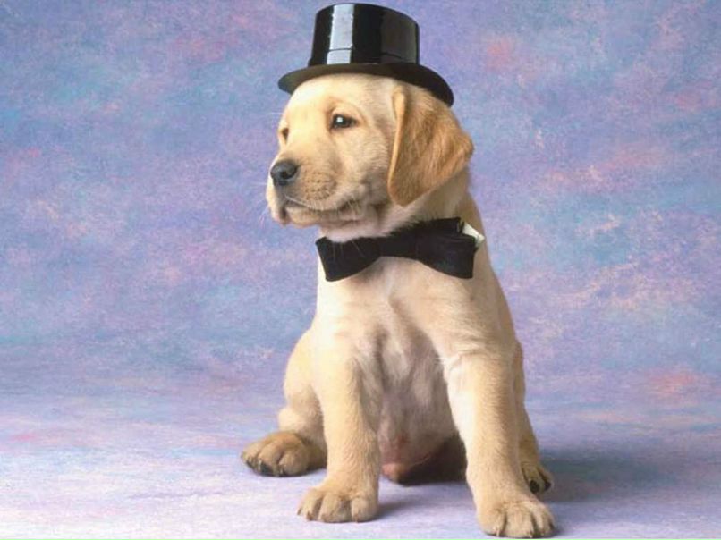 Владимир Любушкин | Санкт-Петербург