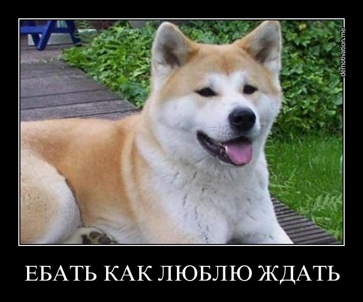 Игорь Перевозчиков | Таллин