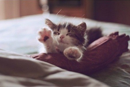 Кристиночка Ланцова ˙·٠•●ღ°KISYL'KA°ღ●•٠·˙ | Красноярск