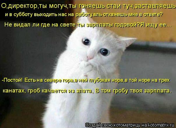 №53, Сергей Колодезный, Новороссийск №53, Сергей Колодезный, Новороссийск