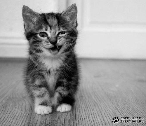 №25, Юлия Осипцова, 34 года, Смолино №25, Юлия Осипцова, 34 года, Смолино