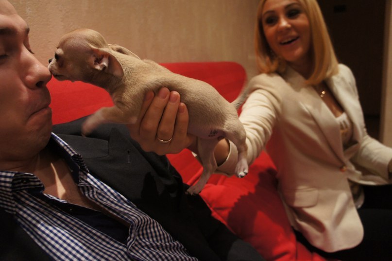 Ирина Теньшова | Москва