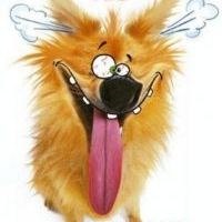 Оля Наумова | Москва