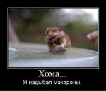 Фотография Евгения Астраханцева