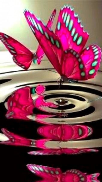 №11, Вікторія Палоці, 36 лет, Берегово №11, Вікторія Палоці, 36 лет, Берегово