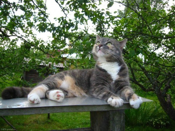 Ольга Курганова | Вологда