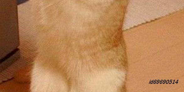 №23, Юрій Швець, Вишневец №23, Юрій Швець, Вишневец