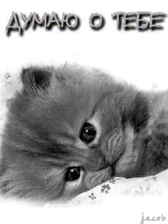 Анастасия Деркач | Киев