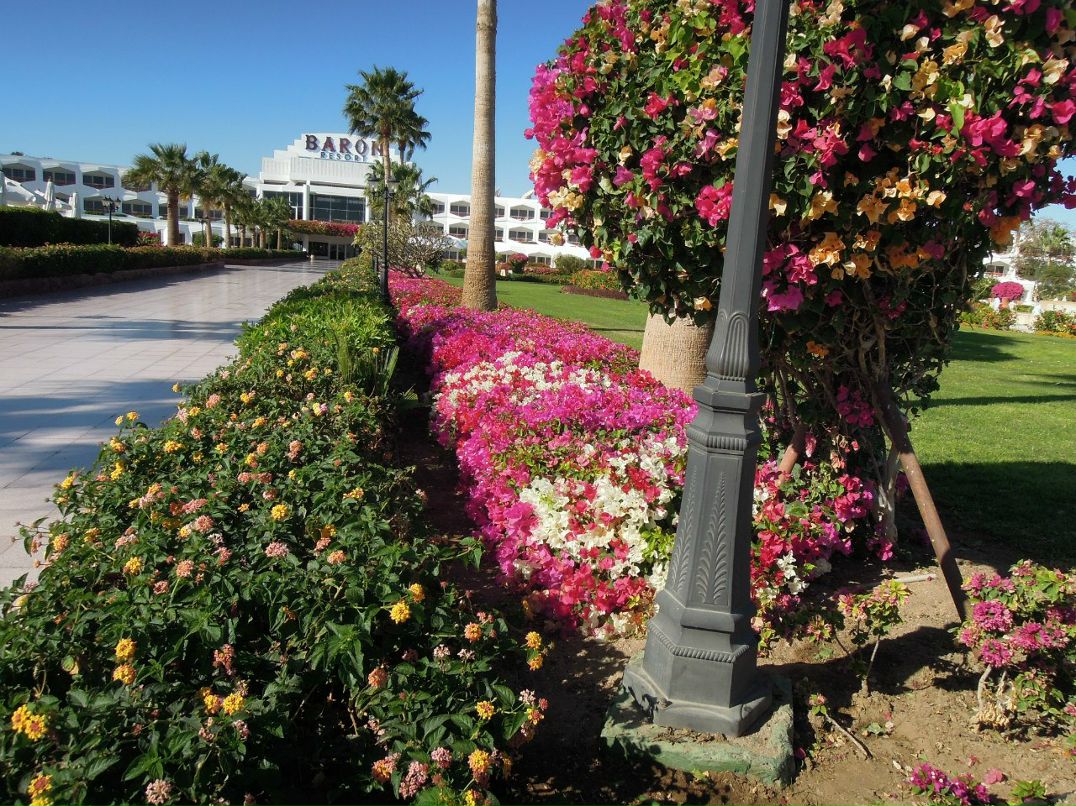 Наталья Воробьёва | Ялта