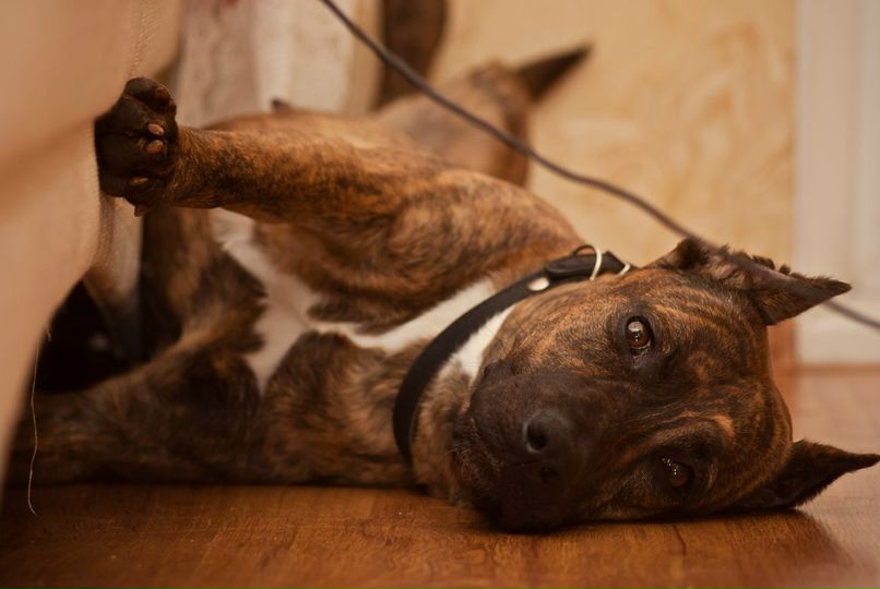 Мансур Гайфуллин | Уфа