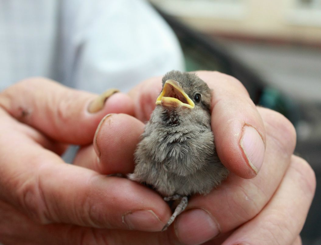 Светлана Гульбина | Ростов-на-Дону