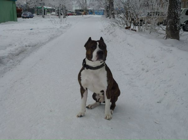 №5, Алексей Карпенко, Краснодар №5, Алексей Карпенко, Краснодар