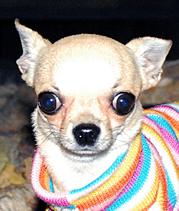 Лариса Синицына | Санкт-Петербург