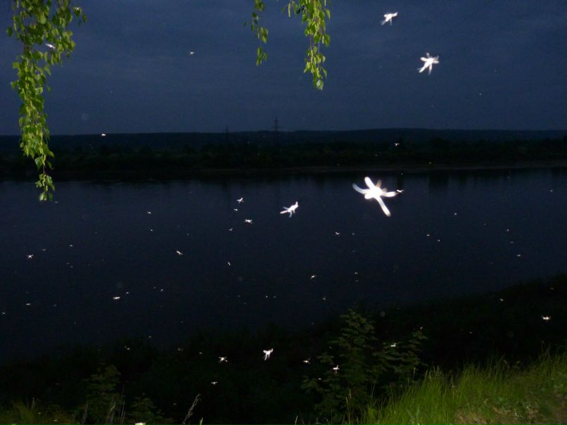 Дмитрий Пандин | Киров